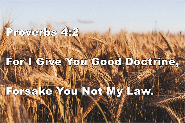 Proverbs 4:2 | The Sound Doctrine Of Wisdom
