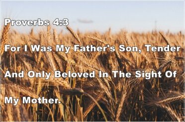 Proverbs 4:3 | I Am The Image Of My Father