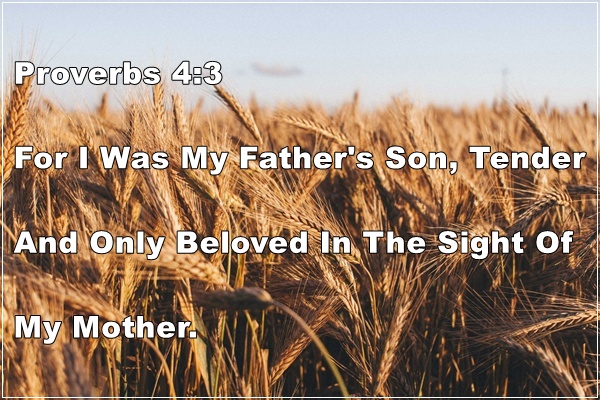Proverbs 4:3 | I Am The Image Of My Father