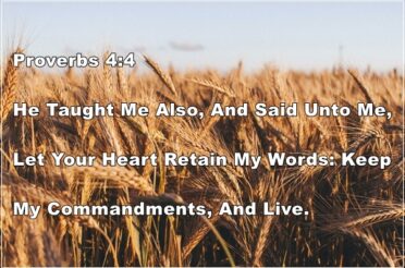 Proverbs 4:4 | Develop Good Understanding Of The Heart