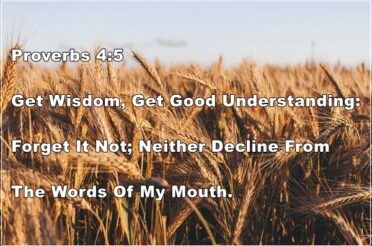 Proverbs 4:5 | Forget Not Wisdom & Good Understanding