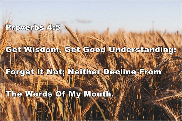 Proverbs 4:5 | Forget Not Wisdom & Good Understanding