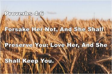 Proverbs 4:6 | Forsake Not Wisdom Love Her & She Shall Keep You