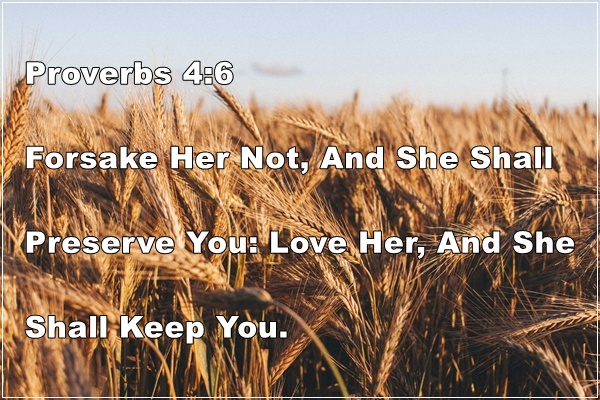Proverbs 4:6 | Forsake Not Wisdom Love Her & She Shall Keep You
