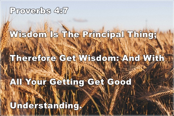Proverbs 4:7 | Wisdom & Good Understanding They Are My Sisters