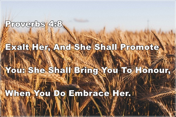 Proverbs 4:8 | Exalt & Embrace Wisdom