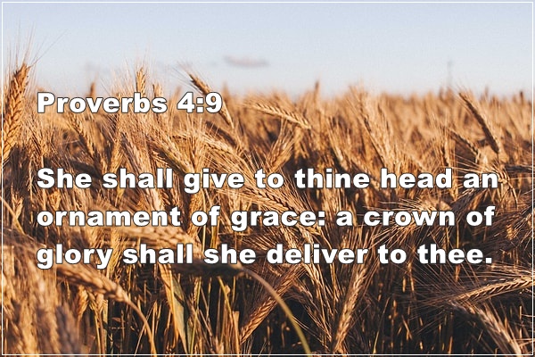 Proverbs 4:9 | An Ornament Of Grace A  Crown Of Glory